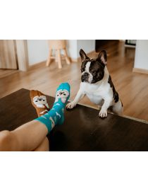 Veselé ponožky Buldog